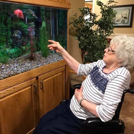 Older adult looking at fish in aquarium